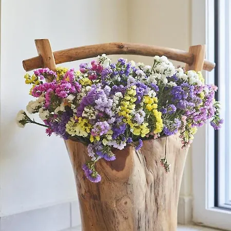 Academia * עיר רודוס