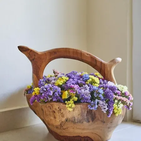 Apartament Academia *