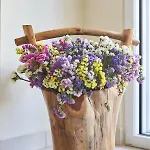 Academia * Rhodes City