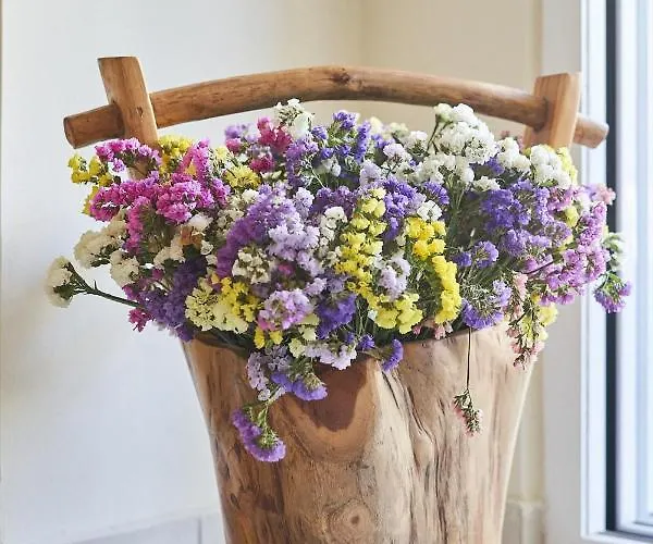 Academia * Rhodes City