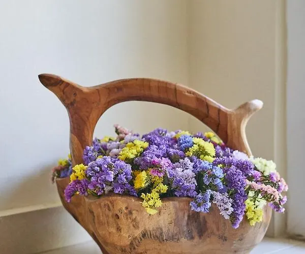 Διαμέρισμα Academia *